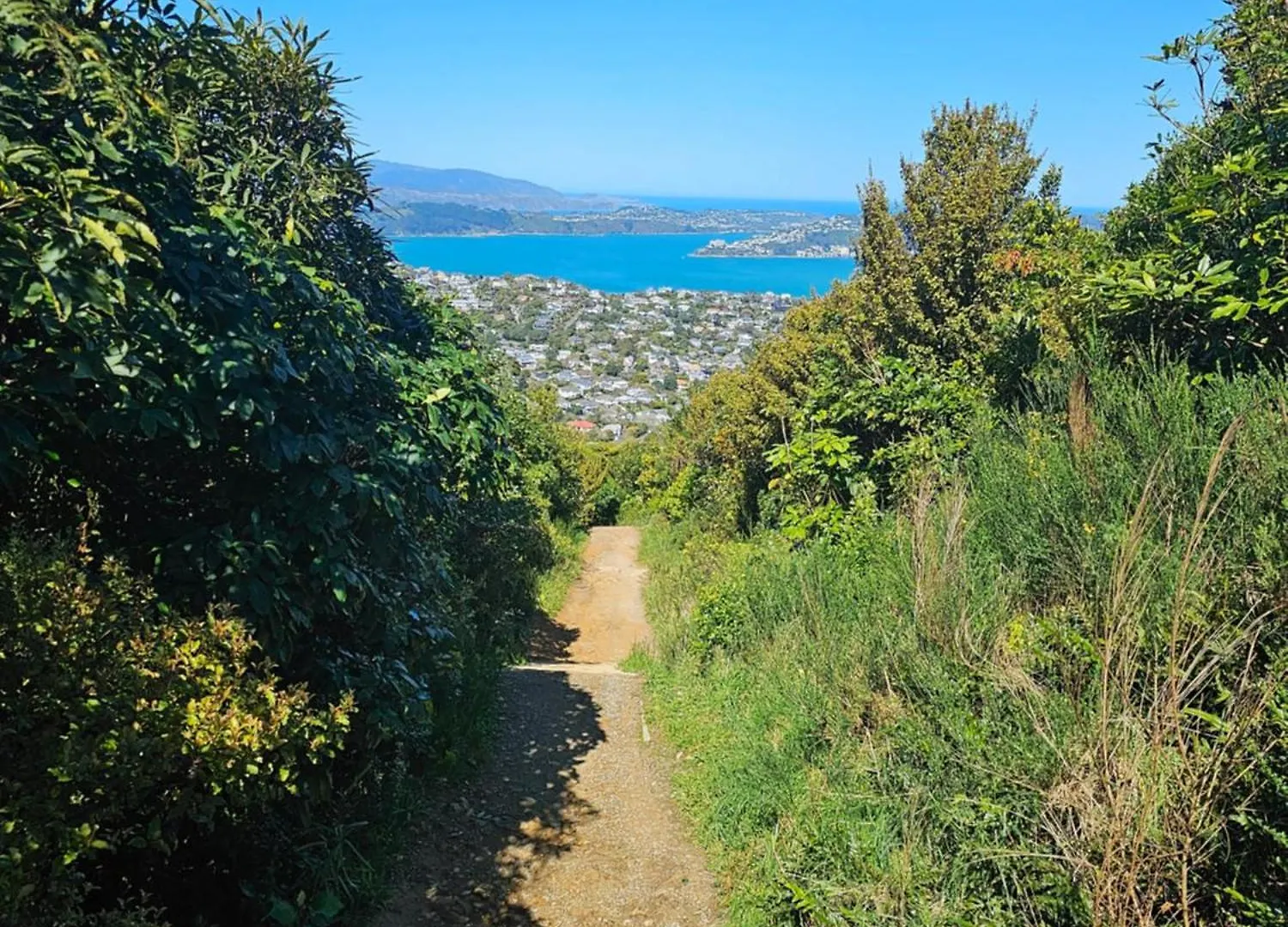 2 Peas In A Pod Bed & Breakfast Wellington